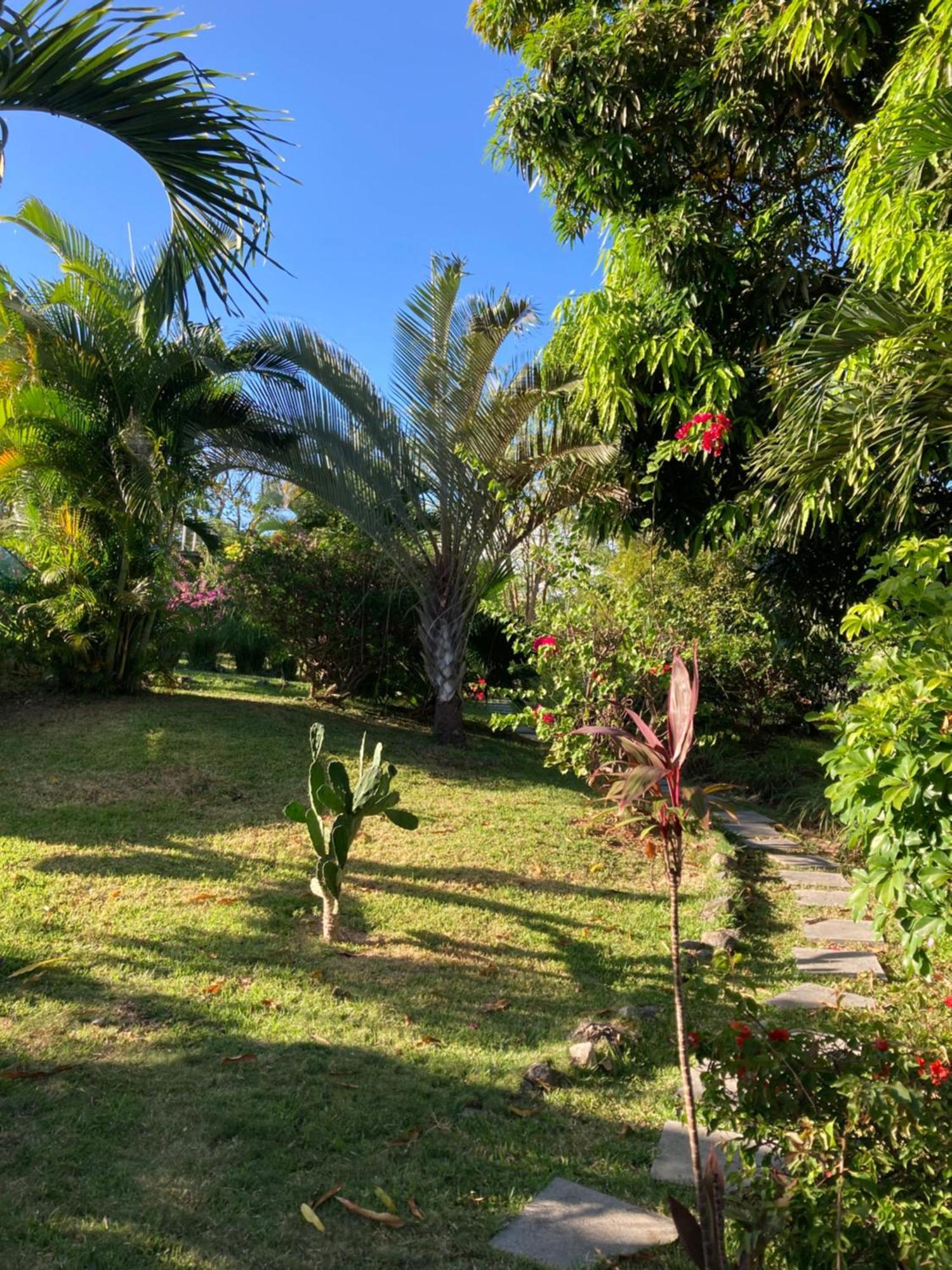 La Maracuya Panama Bed and Breakfast Playa Coronado Exteriör bild