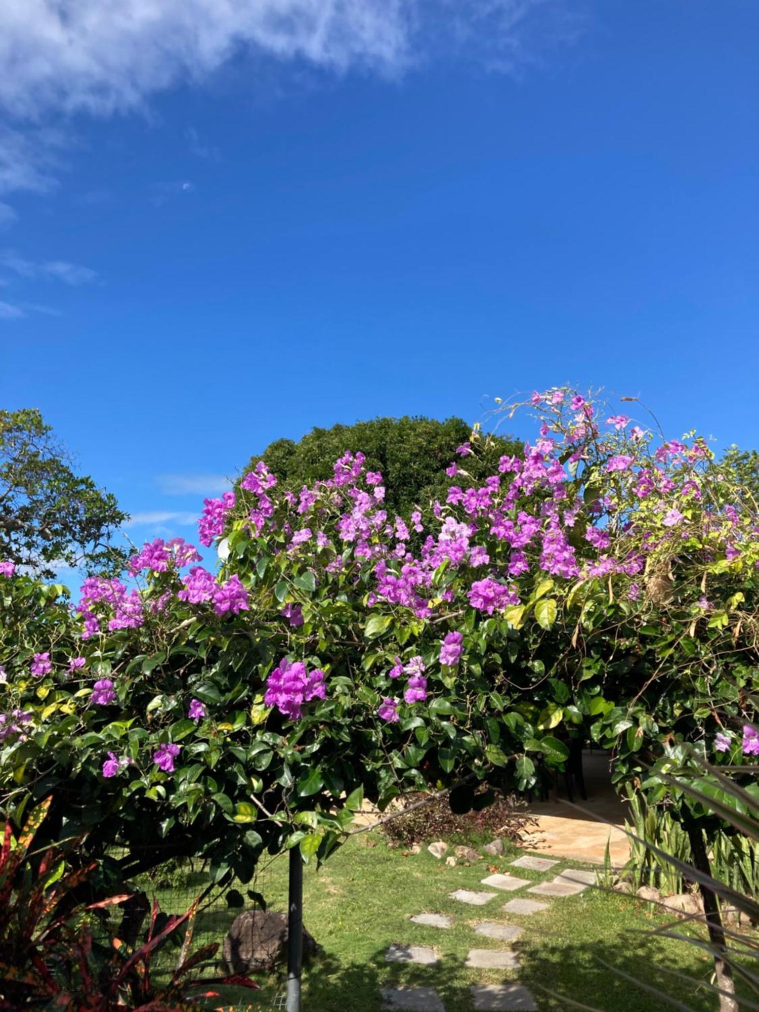 La Maracuya Panama Bed and Breakfast Playa Coronado Exteriör bild