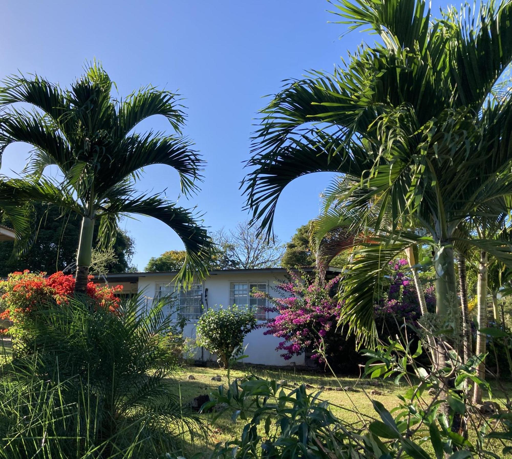 La Maracuya Panama Bed and Breakfast Playa Coronado Exteriör bild