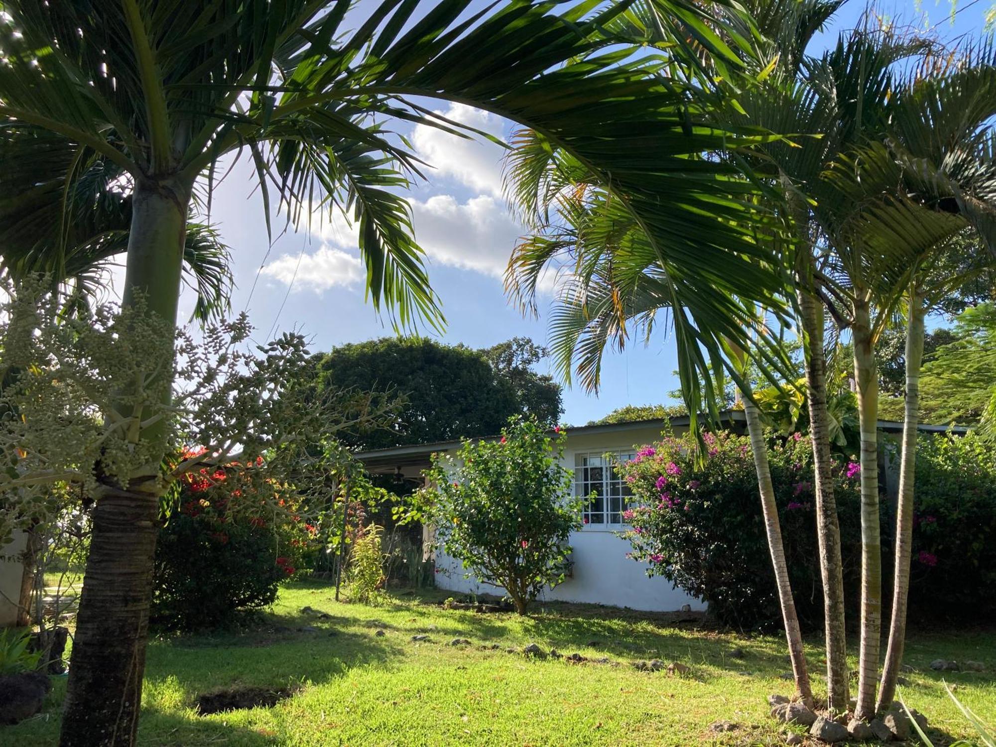 La Maracuya Panama Bed and Breakfast Playa Coronado Exteriör bild