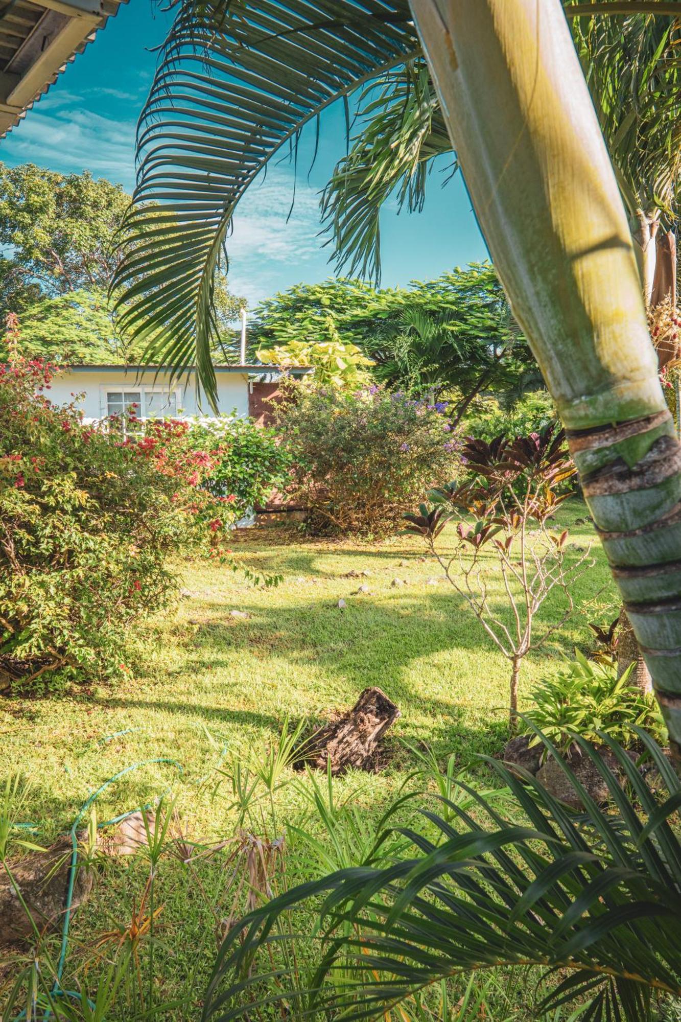 La Maracuya Panama Bed and Breakfast Playa Coronado Exteriör bild